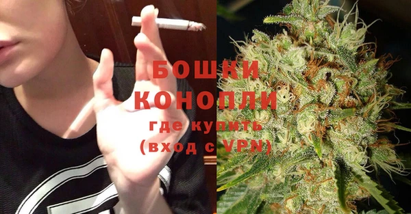 прущие грибы Балахна