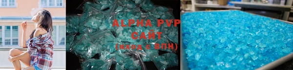 прущие грибы Балахна