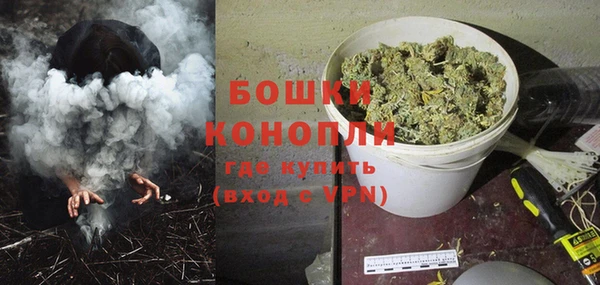 прущие грибы Балахна
