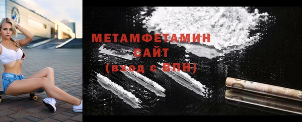 прущие грибы Балахна