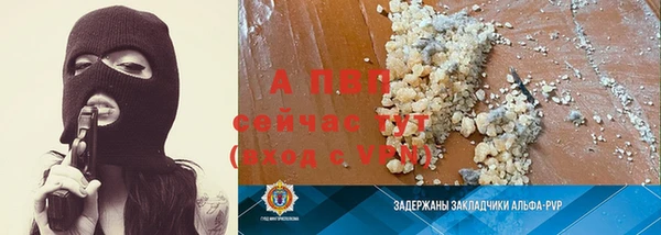 прущие грибы Балахна