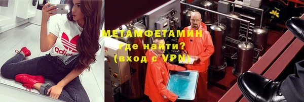 прущие грибы Балахна